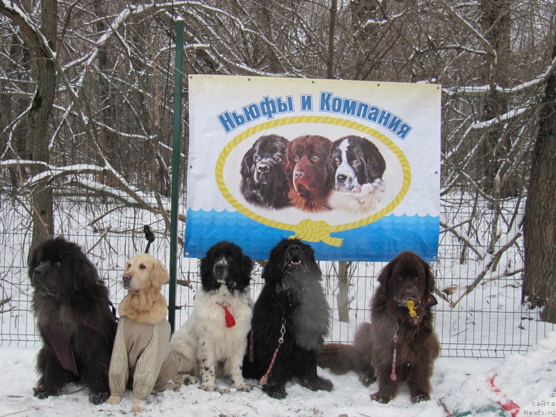 Фотография № 198890