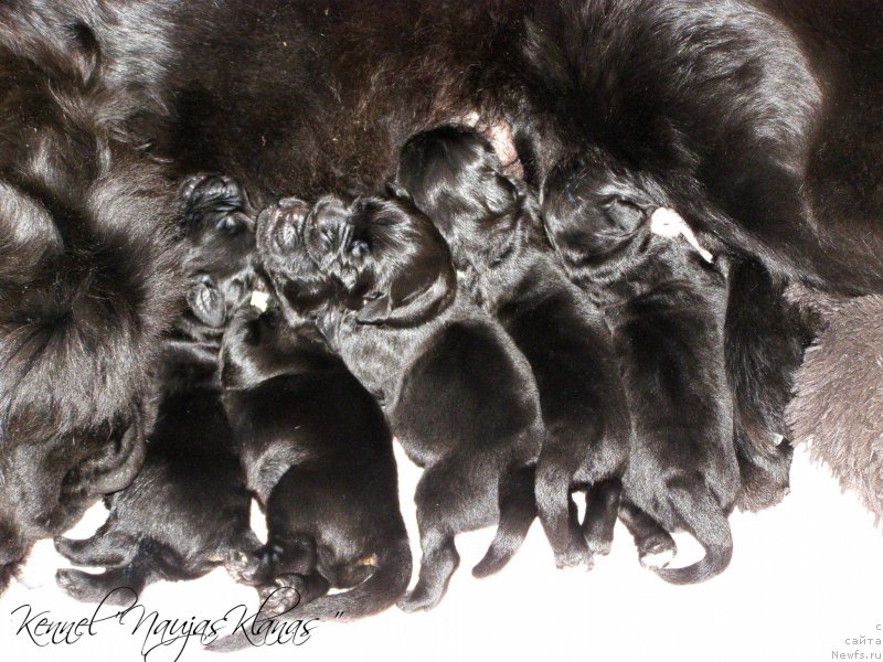 Фотография № 198892