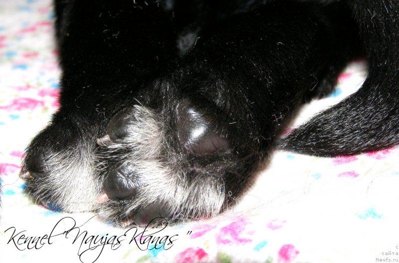 Фотография № 198893