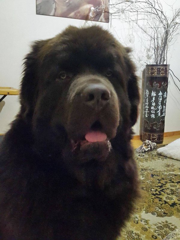 Фотография № 198899