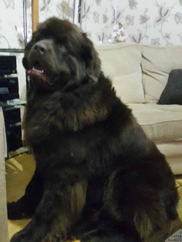 Фотография № 198900