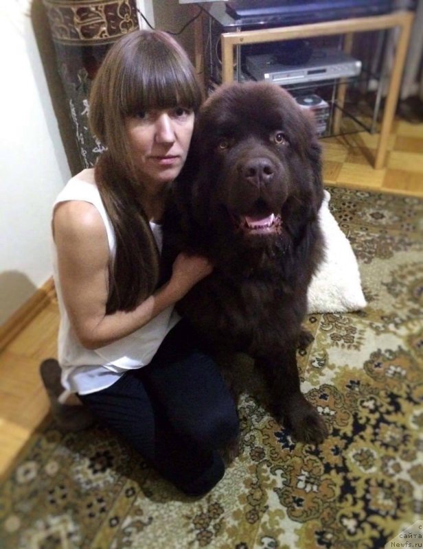 Фотография № 198901