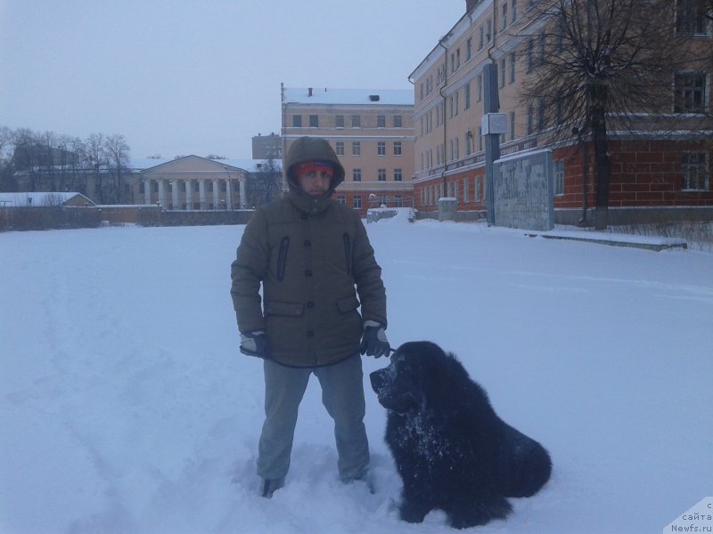 Фотография № 198902