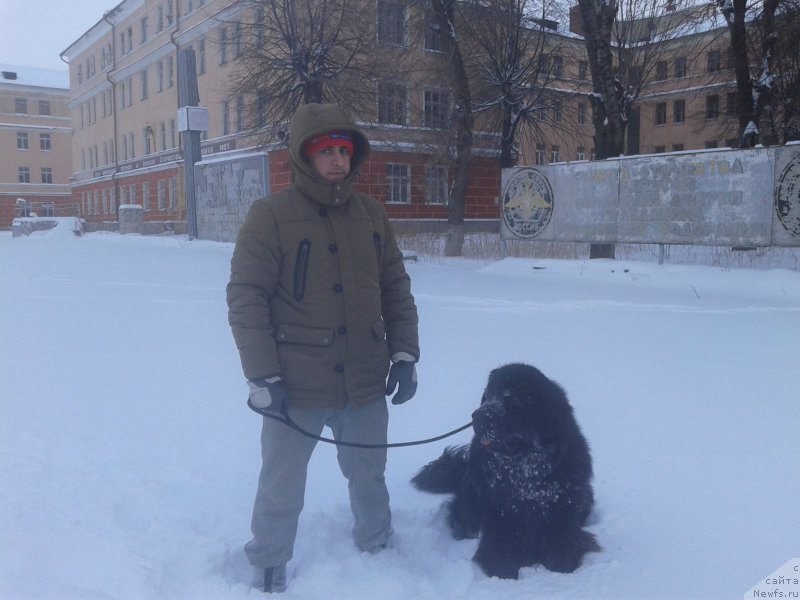 Фотография № 198903