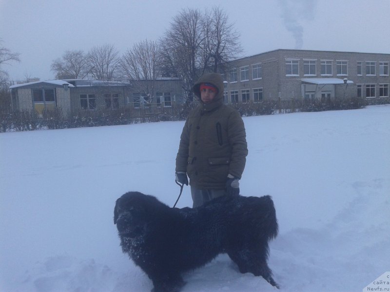 Фотография № 198904