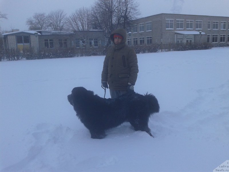 Фотография № 198905