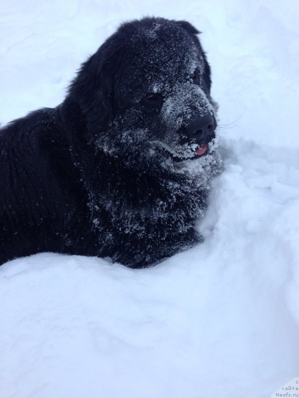 Фотография № 198907