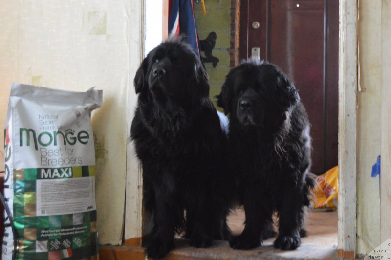 Фотография № 198919