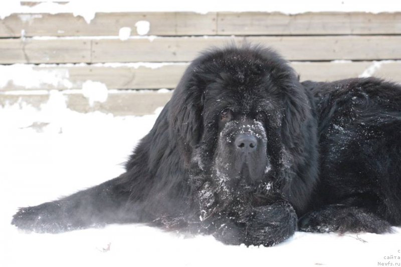 Фотография № 198924