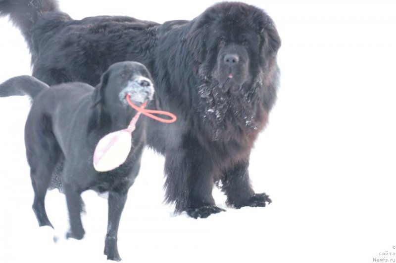 Фотография № 198925