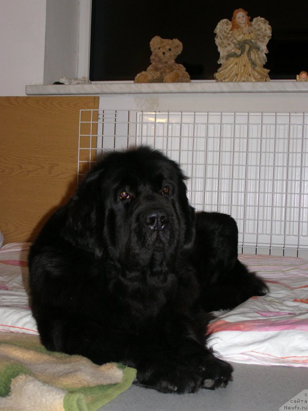 Фотография № 198952