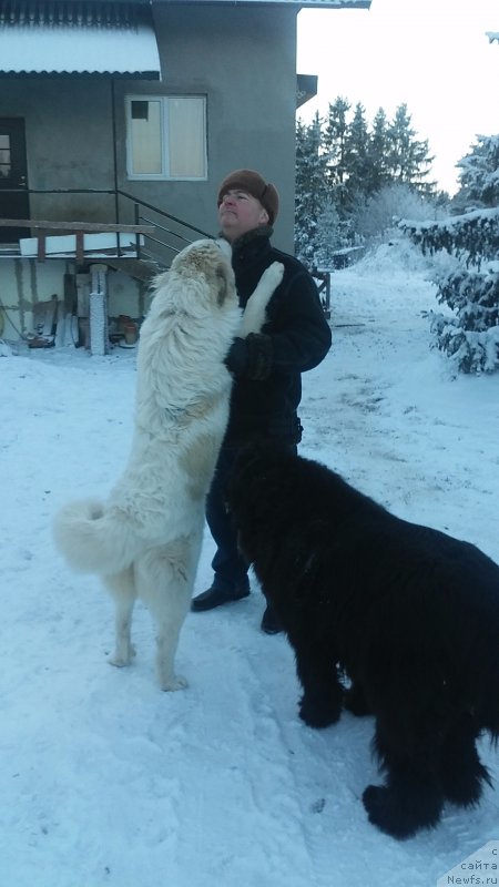 Фотография № 198956