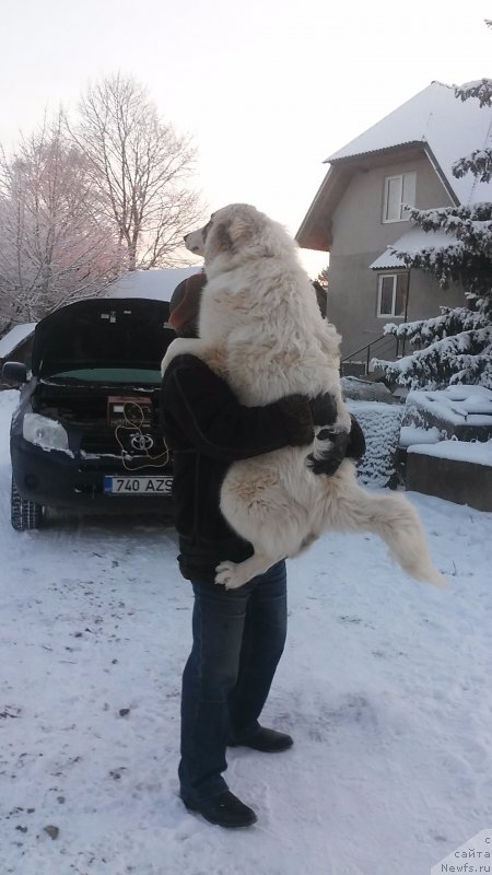 Фотография № 198958