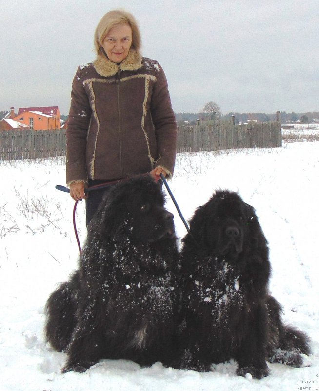 Фото: ньюфаундленд Марьяна Большой Малыш (Maryana Bolshoj Malysh), ньюфаундленд Чаривна Черепашка Большой Малыш (Charivna Cherepashka Bolshoj Malysh)