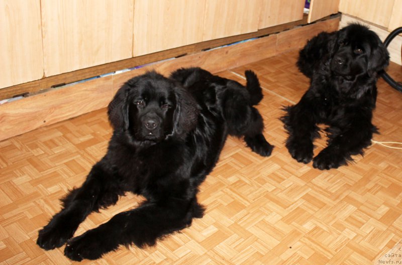 Фотография № 198981