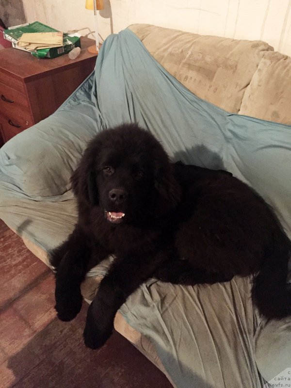 Фотография № 198988