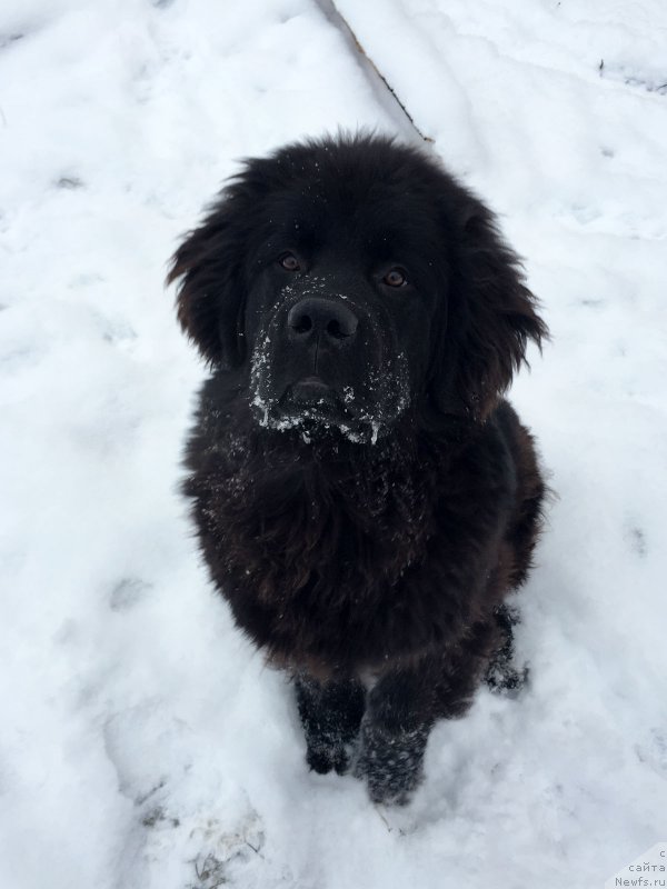 Фотография № 198989