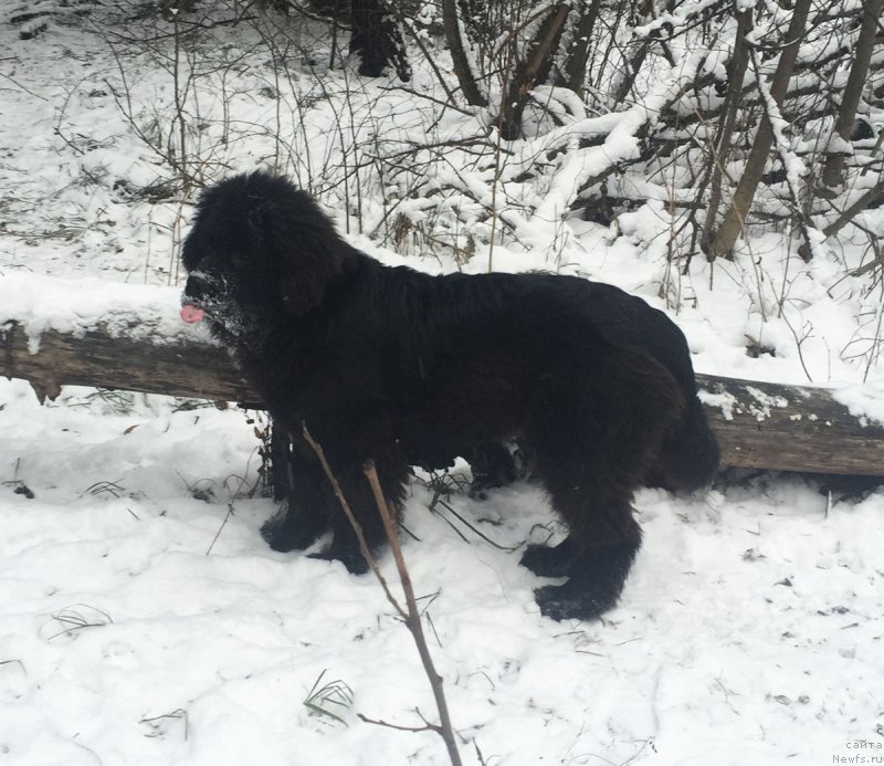 Фотография № 198990