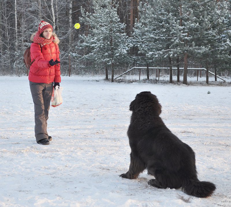 Фотография № 199004