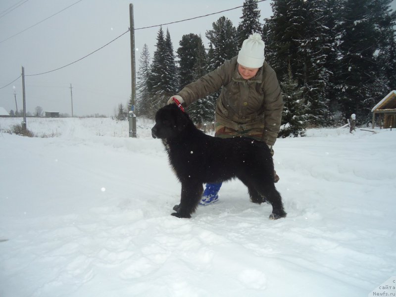 Фотография № 199033