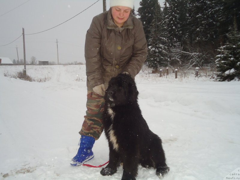 Фотография № 199034