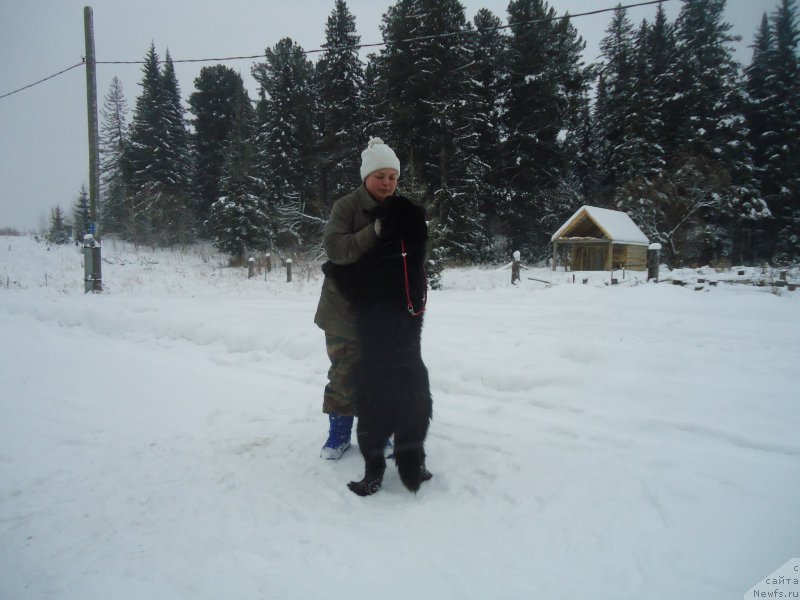 Фотография № 199035