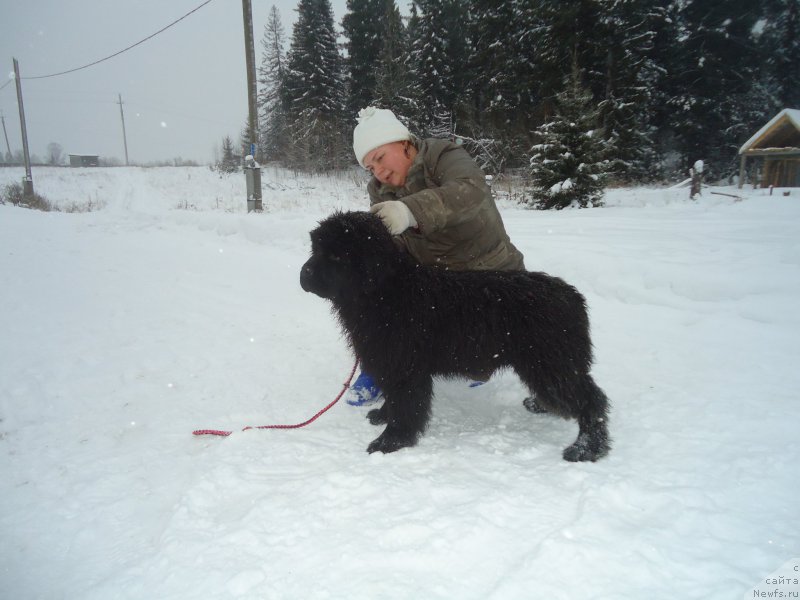 Фотография № 199038