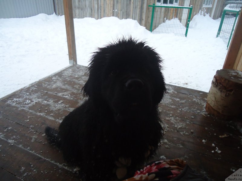 Фотография № 199040