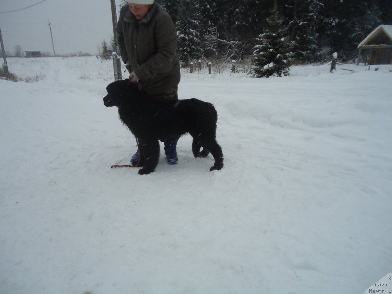 Фотография № 199045