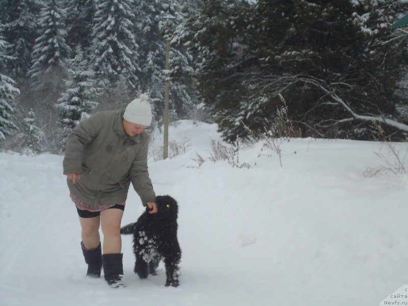 Фотография № 199047