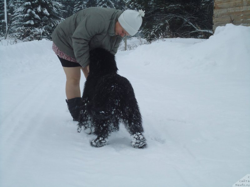 Фотография № 199048