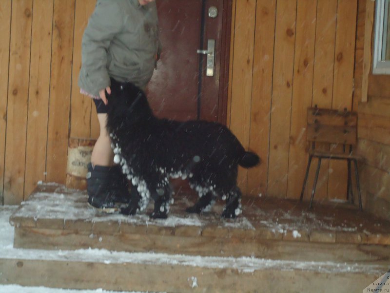 Фотография № 199049