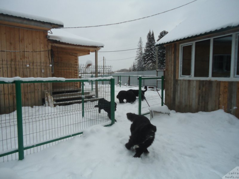 Фотография № 199050