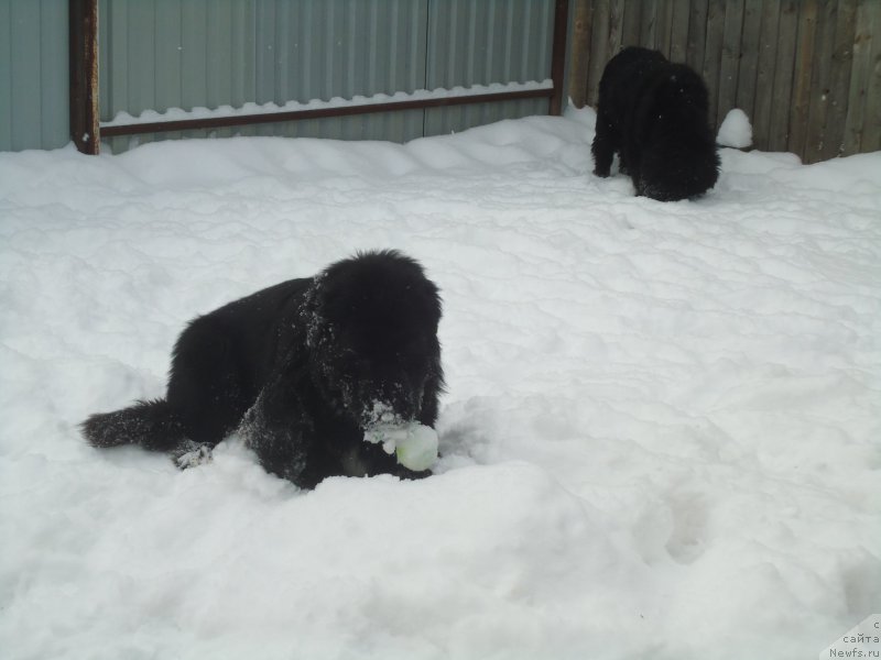 Фотография № 199054