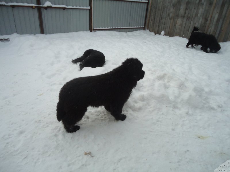 Фотография № 199055