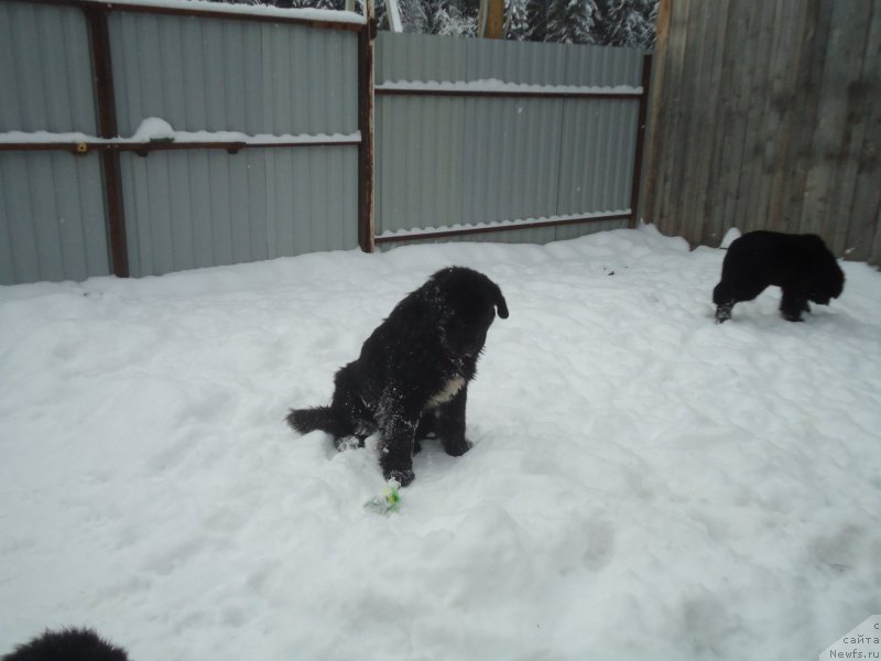 Фотография № 199056