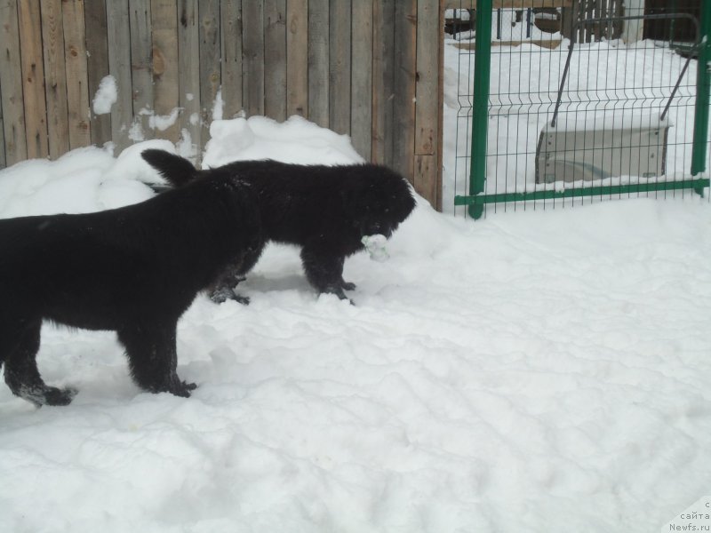 Фотография № 199058