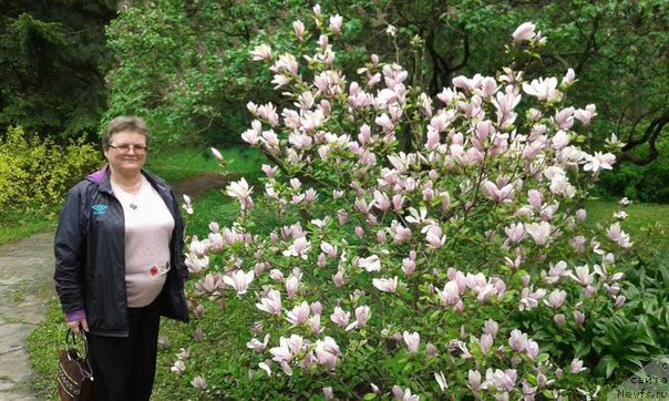 Фотография № 199065