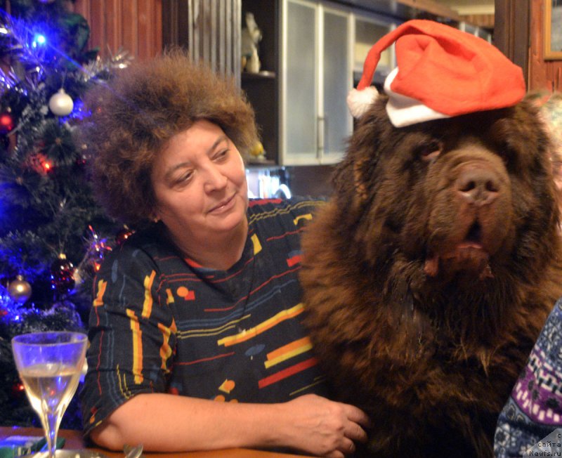 Фотография № 199072