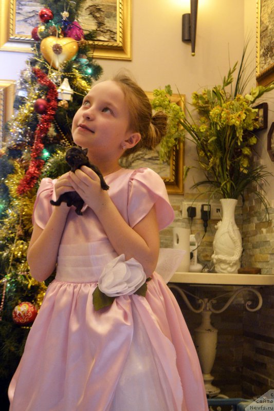 Фотография № 199077