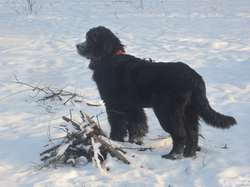 Фото: Наталья Смазчикова