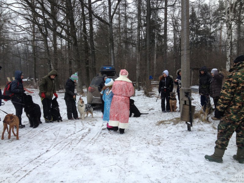 Фотография № 199088