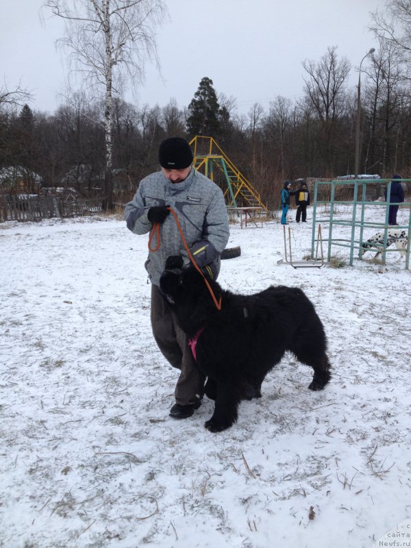 Фотография № 199089