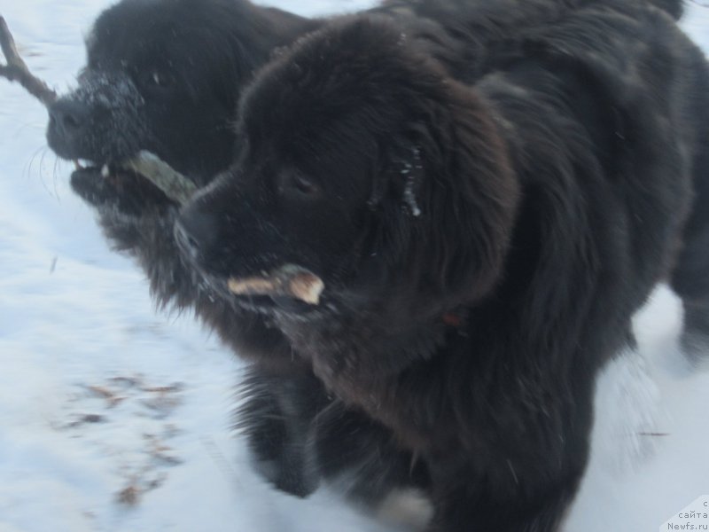 Фото: Наталья Смазчикова