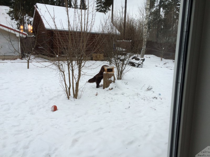 Фотография № 199097