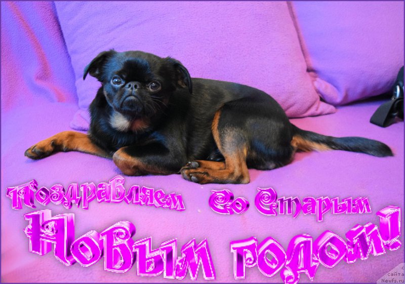 Фотография № 199098