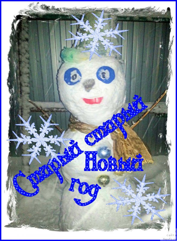 Фото: ньюфаундленд Браунблад МСК Хаким Голд Хайдар (Brownblood MSK Hakim Gold Haydar)