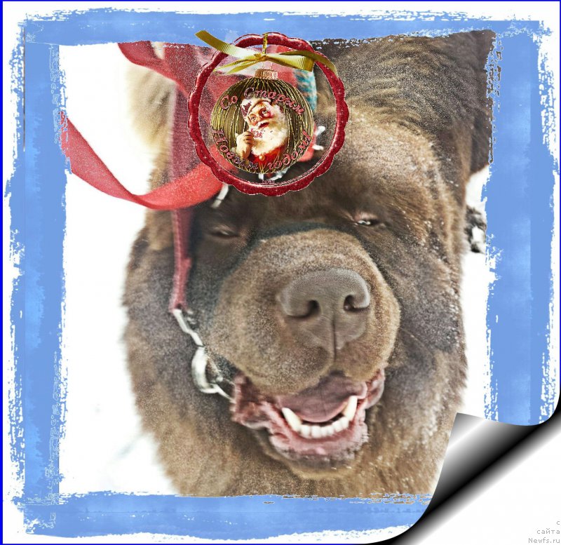 Фотография № 199105