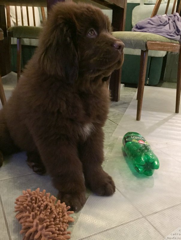 Фотография № 199114