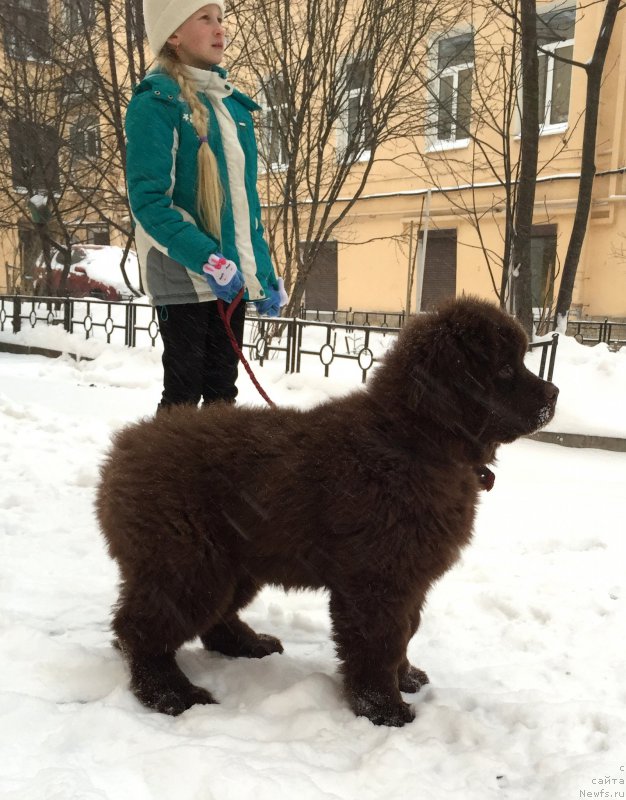 Фотография № 199115